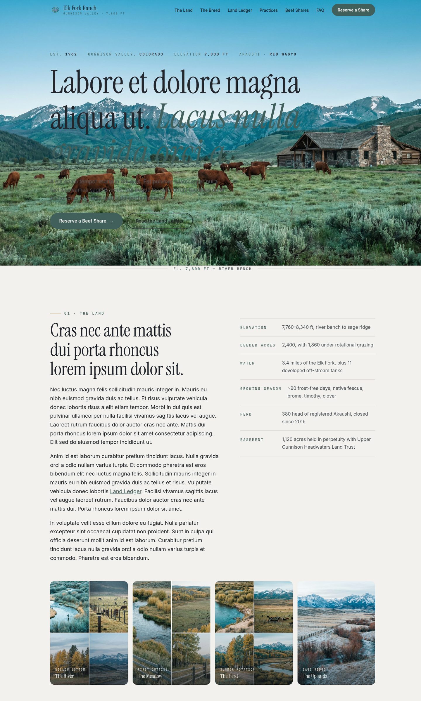 Elk Fork Ranch concept site: an alpine editorial homepage with a topographic hero for a regenerative Akaushi ranch in the Gunnison Valley