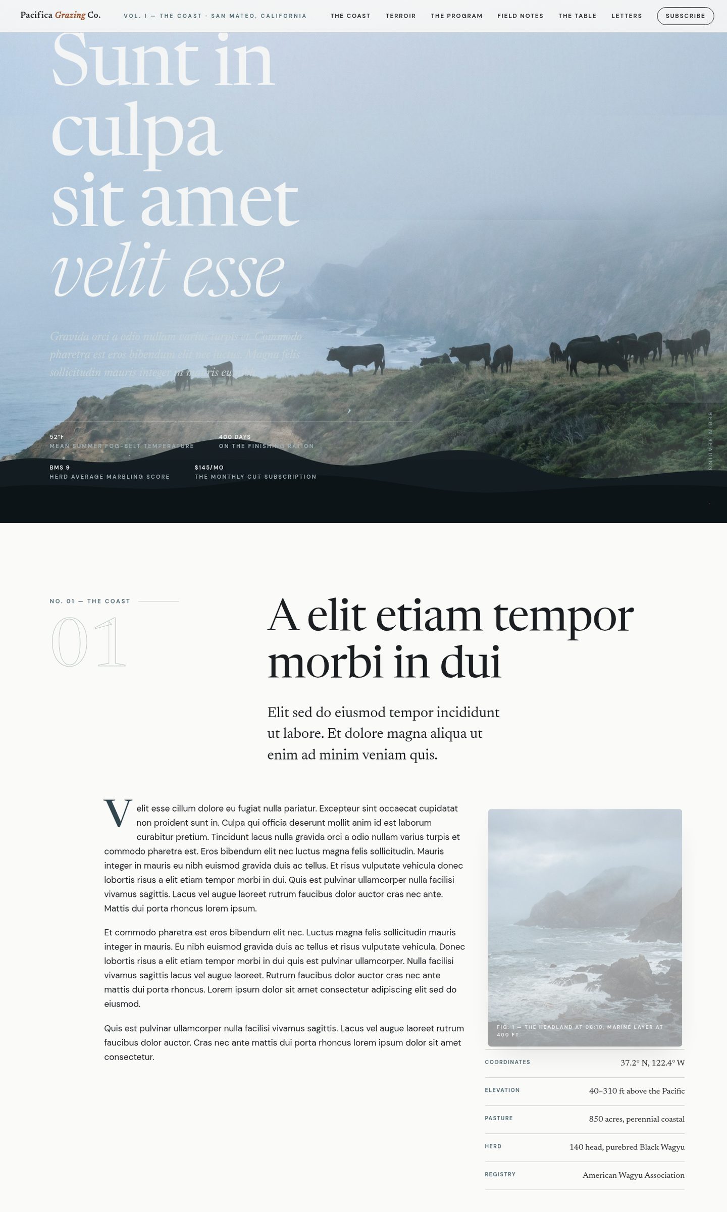 Pacifica Grazing Co. concept site: a coastal-fog editorial homepage with an oversized serif headline over a drifting fog hero